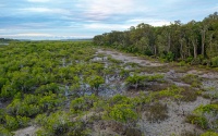 AUS - Great Sandy Strait d0150